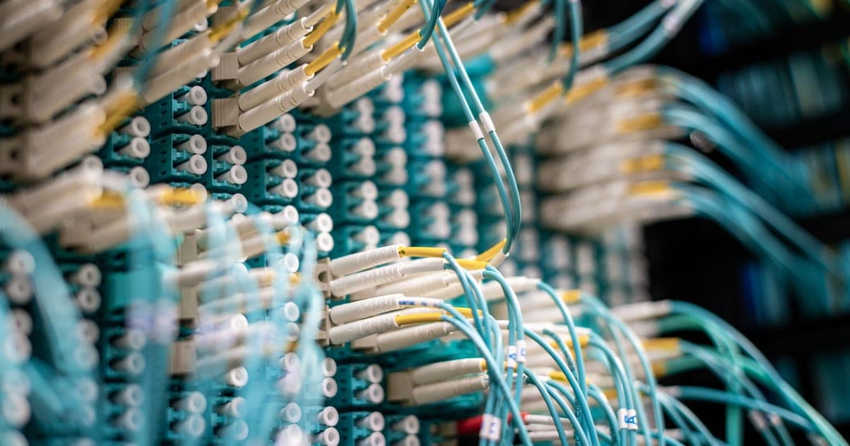 Dense bundles of fiber optic cables plugged into a switch panel